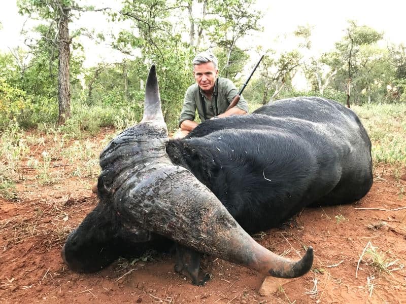 JKO Hunting Safaris Africa Buffalo 1