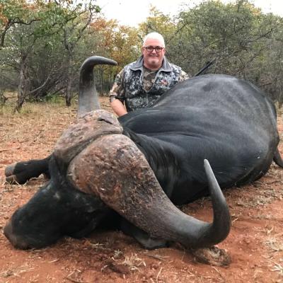 Discounted Cape Buffalo Hunt Africa 