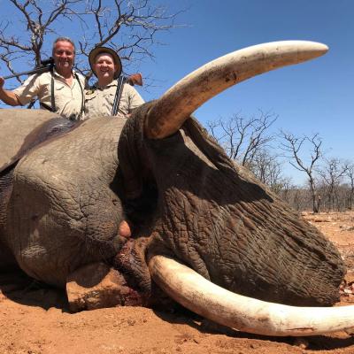 Elephant Hunt Africa 