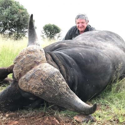 Discounted Cape Buffalo Hunt Africa 
