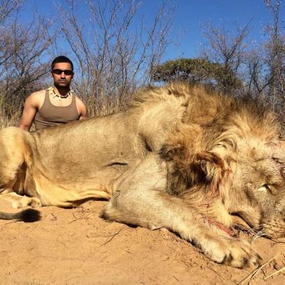 Lion Hunt Africa 