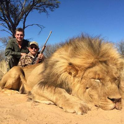 Lion Hunt Africa 