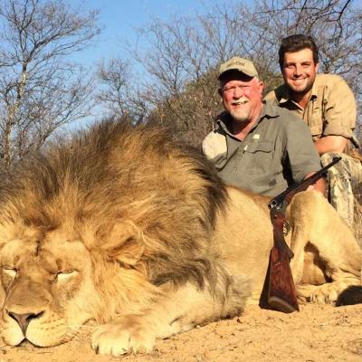 Hunt Lion South Africa 