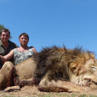 Discounted Lion Hunt Africa 