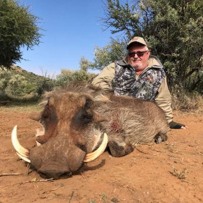 Warthog Hunt Africa 