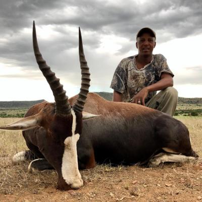 Hunting Bontebuck Africa