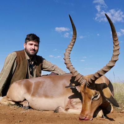 Impala Hunt Africa 