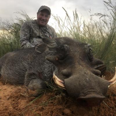 Hunting Warthog Africa 