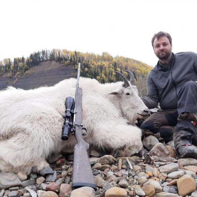 Hunting Mountain Goat British Colombia